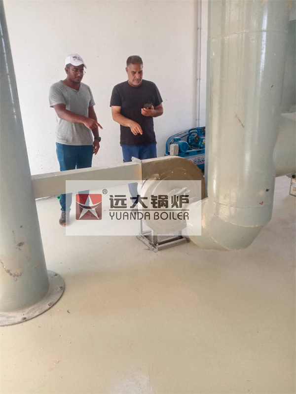 Azerbaijan Animal and Medical Waste Incinerator 750 kg hour