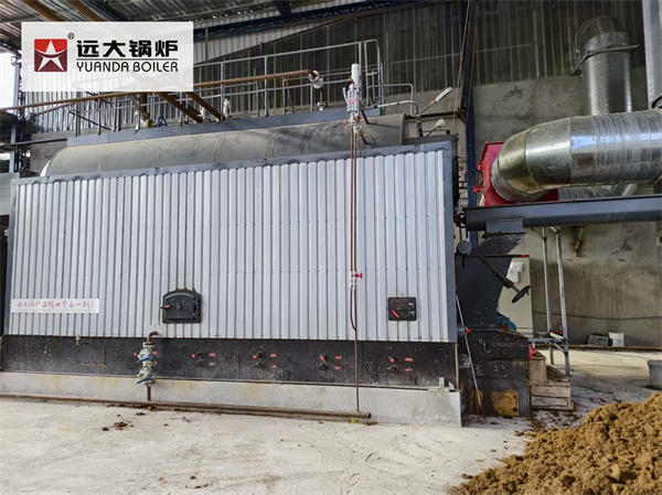 6 Ton Wood Steam Boiler For Wood Processing Factory Ecuador