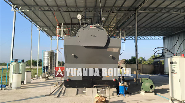 6 Ton Biomass Steam Boiler For Food Factory