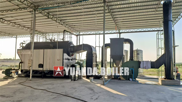 Industrial Wood Biomass Steam Boiler Supplier in Cambodia