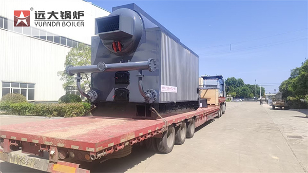 2.8 MW Coal Fired Hot Water Boiler Delivery to Mongolia