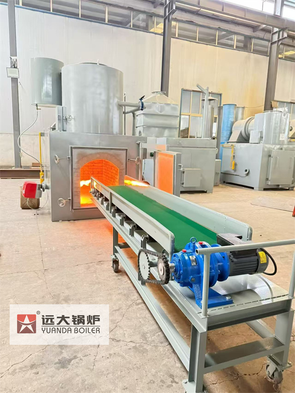 China Hazardous Waste Medical Waste Management Incinerator