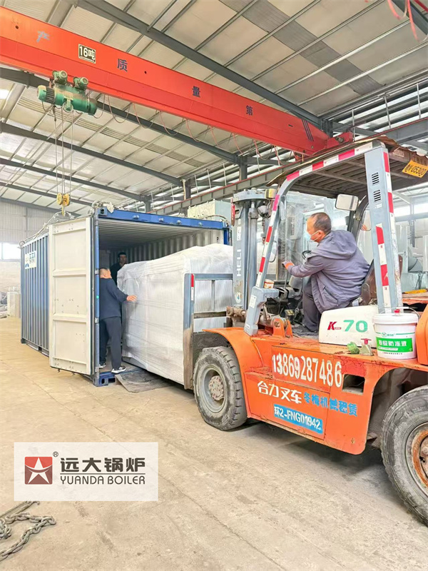 China Hazardous Waste Medical Waste Management Incinerator