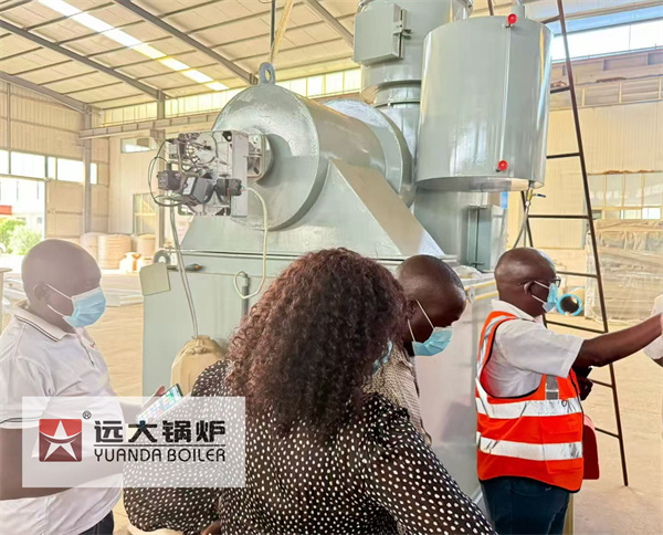 Smokeless Medical Waste Incinerator Project For Congo Republic