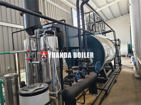 Dominican Republic Diesel Gas Fired Steam Boiler Project