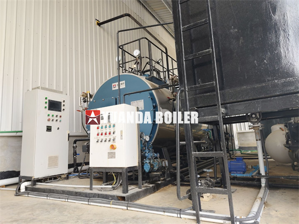 Dominican Republic Diesel Gas Fired Steam Boiler Project
