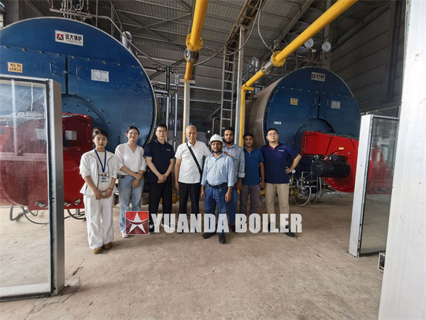 12500KG Gas Steam Boiler For Paper Plant Bangladesh