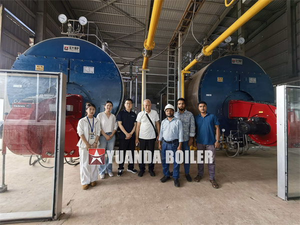 Bangladesh Project Natural Gas Steam Boiler For Paper Industry