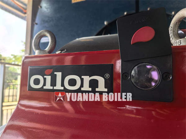 25 Ton Hour Fire Tube Steam Boiler For Paper Factory Bangladesh