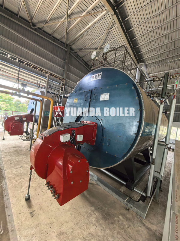 Bangladesh Project Natural Gas Steam Boiler For Paper Industry
