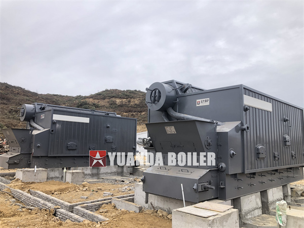 2 sets 6 Ton Biomass Steam Boiler For Tea Factory