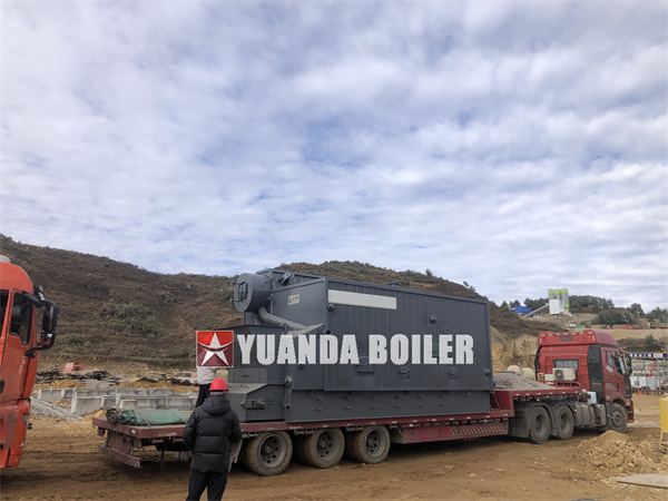 2 sets 6 Ton Biomass Steam Boiler For Tea Factory