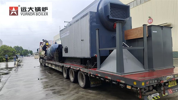 4Ton Wood Biomass Travelling Grate Stoker Boiler
