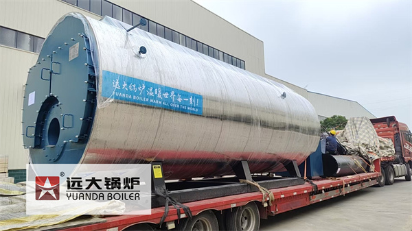 10Ton Gas Steam Boiler For Paper Mills Algeria