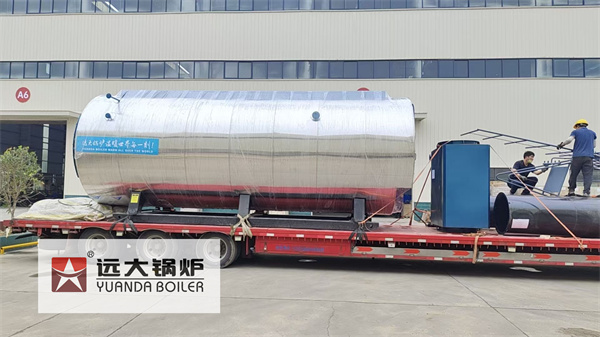 10Ton Gas Steam Boiler For Paper Mills Algeria