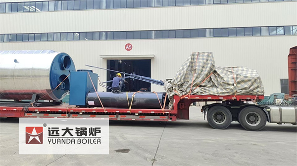 10Ton Gas Steam Boiler For Paper Mills Algeria