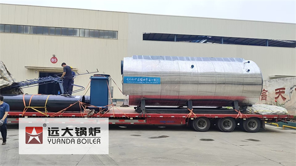 10Ton Gas Steam Boiler For Paper Mills Algeria