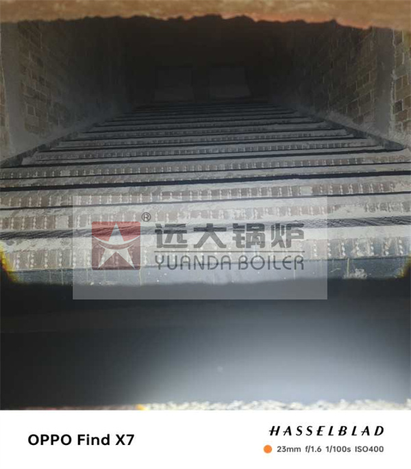 10Ton Biomass Palm Fiber Boiler With Reciprocating Grate Stoker