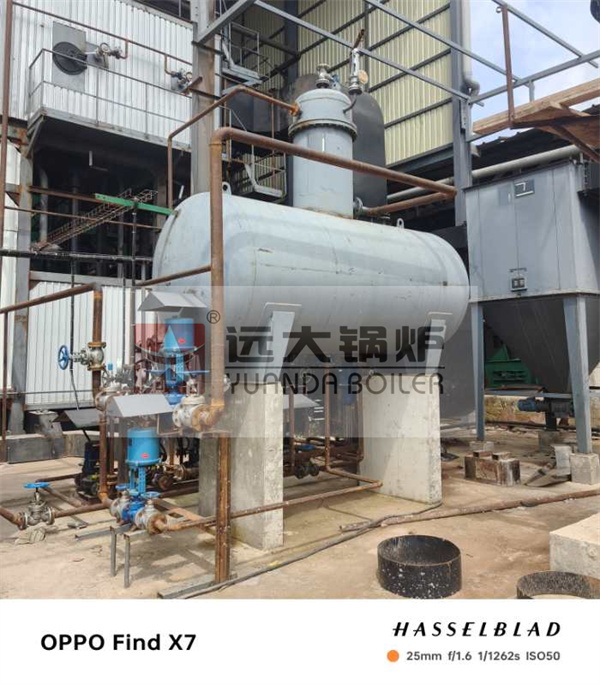 10Ton Biomass Palm Fiber Boiler For Palm Oil Plant Ivory Coast