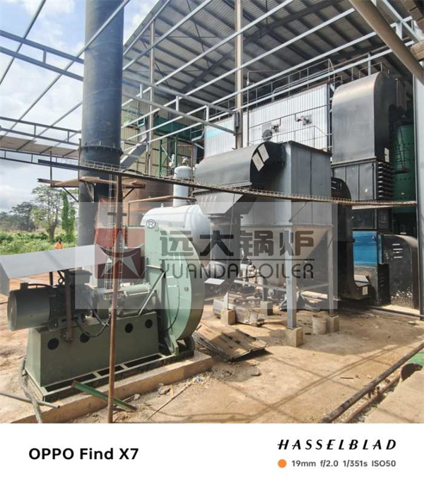 10Ton Biomass Palm Fiber Boiler For Palm Oil Plant Ivory Coast
