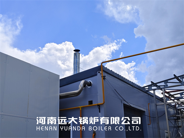4 Ton Steam Natural Gas Boiler For Milk Processing Factory