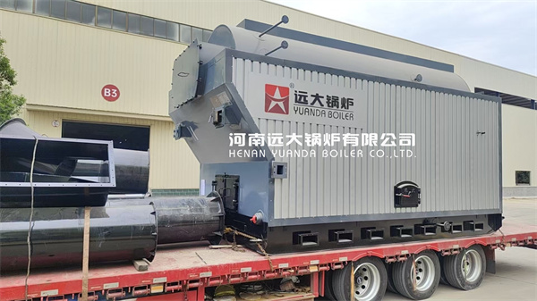 6Ton Wood Biomass Fuel Steam Boiler For Food Factory Srilanka