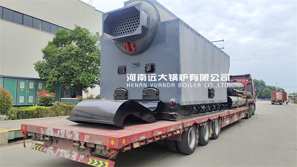 6Ton Wood Biomass Fuel Steam Boiler For Food Factory Srilanka