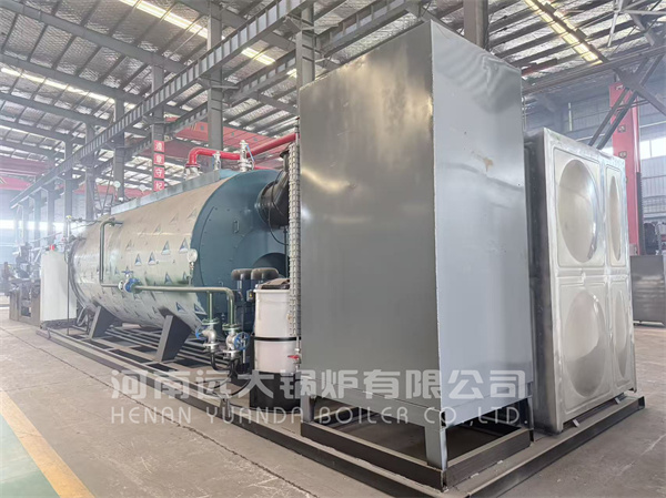 Skid Mounted Type Gas Steam Boiler 5000kg hour