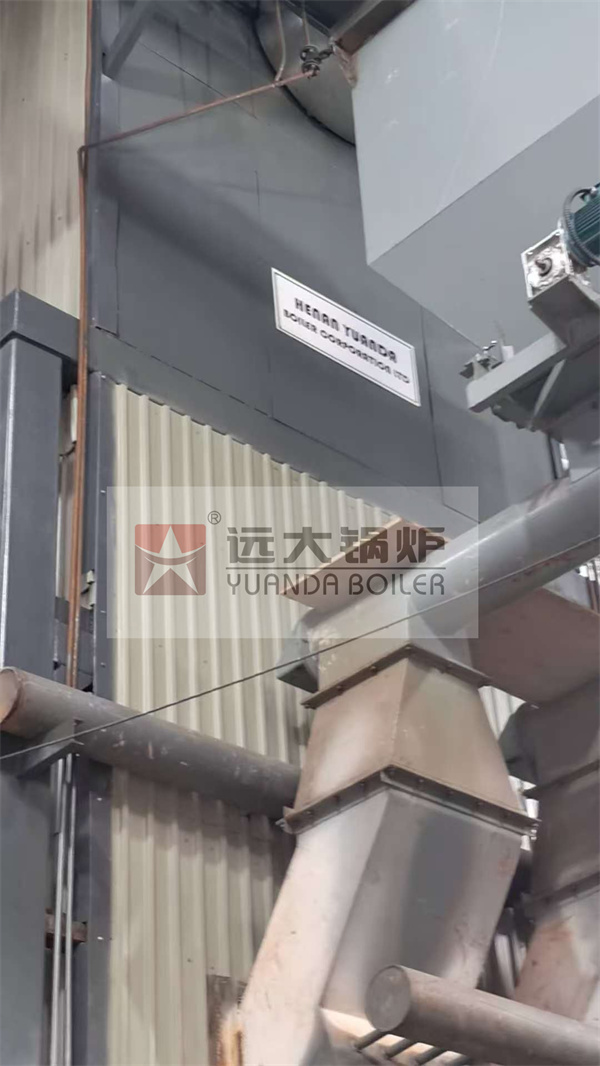 20Ton Ricehusk Fired Steam Boiler For Rice Mill Paraguay