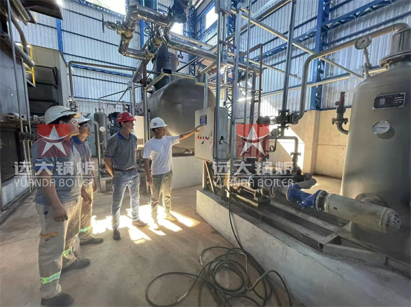 ASME Certificated Biomass Steam Boiler 20Ton Project In Paraguay