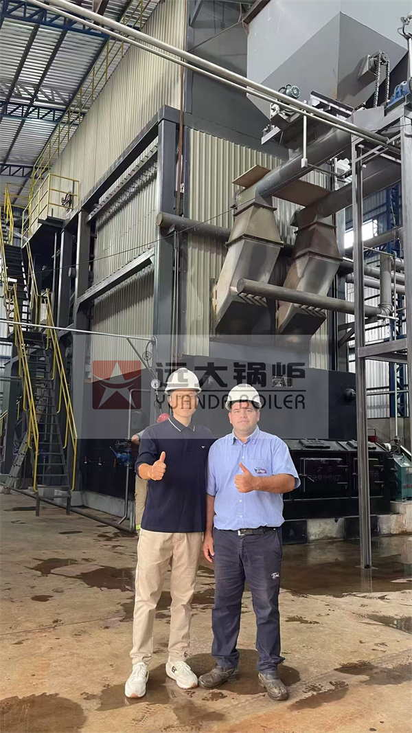 ASME Certificated Biomass Steam Boiler 20Ton Project In Paraguay