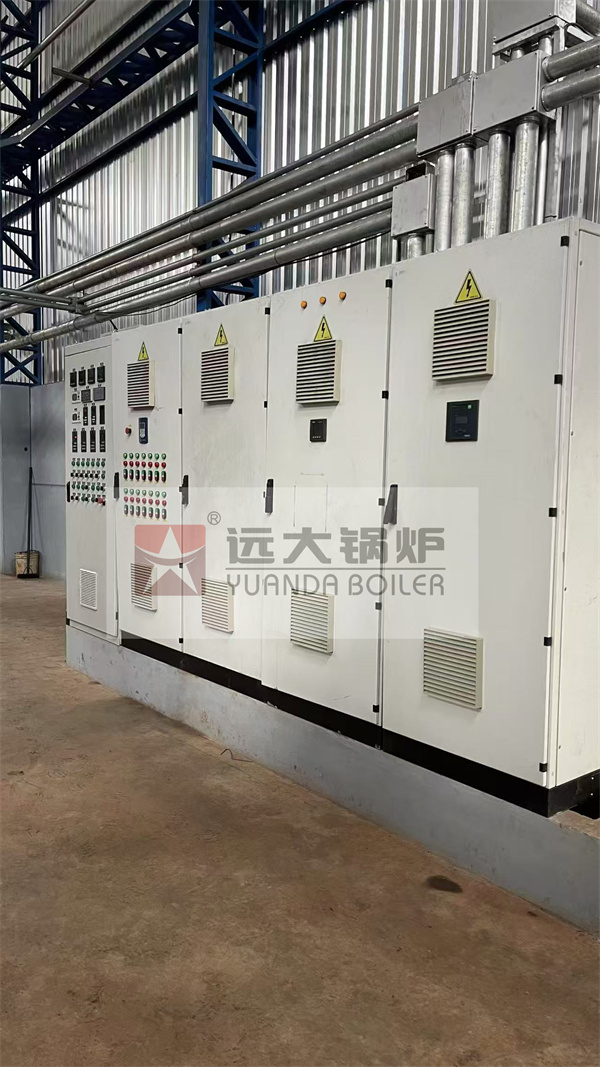 ASME Certificated Biomass Steam Boiler 20Ton Project In Paraguay