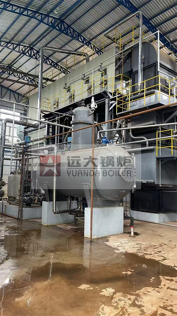 Water Tube Biomass Ricehusk Fired Boiler 20 Ton Hour