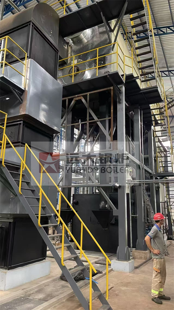 Water Tube Biomass Ricehusk Fired Boiler 20 Ton Hour