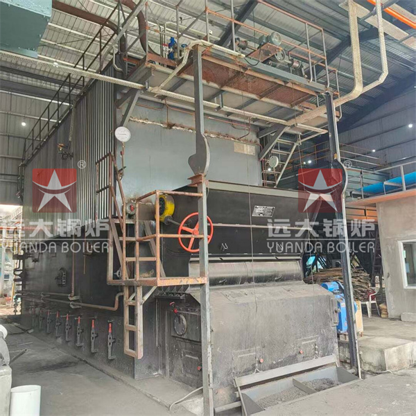 Philippines Project Water Tube Coal Fired Steam Boiler 15000 kg hour