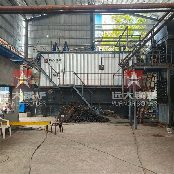 Philippines Project Water Tube Coal Fired Steam Boiler 15000 kg hour