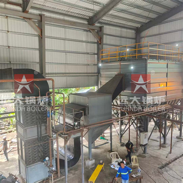 15 Ton Coal Steam Boiler For Alcohol Factory Philippines