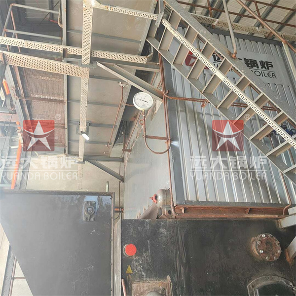 15 Ton Coal Steam Boiler For Alcohol Factory Philippines