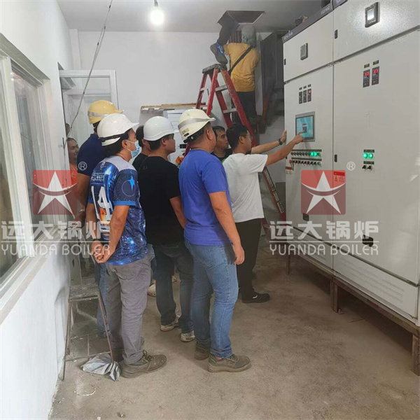15 Ton Coal Steam Boiler For Alcohol Factory Philippines
