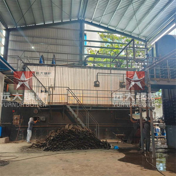15 Ton Coal Steam Boiler For Alcohol Factory Philippines