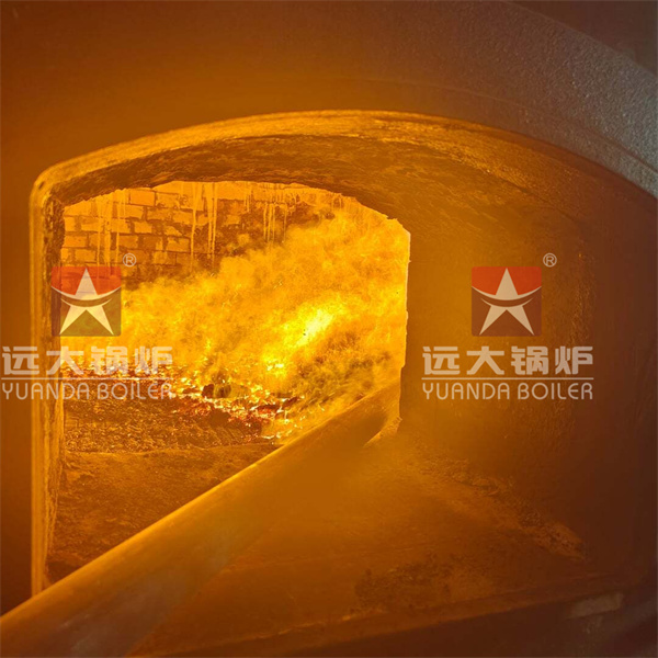 Philippines Project Water Tube Coal Fired Steam Boiler 15000 kg hour