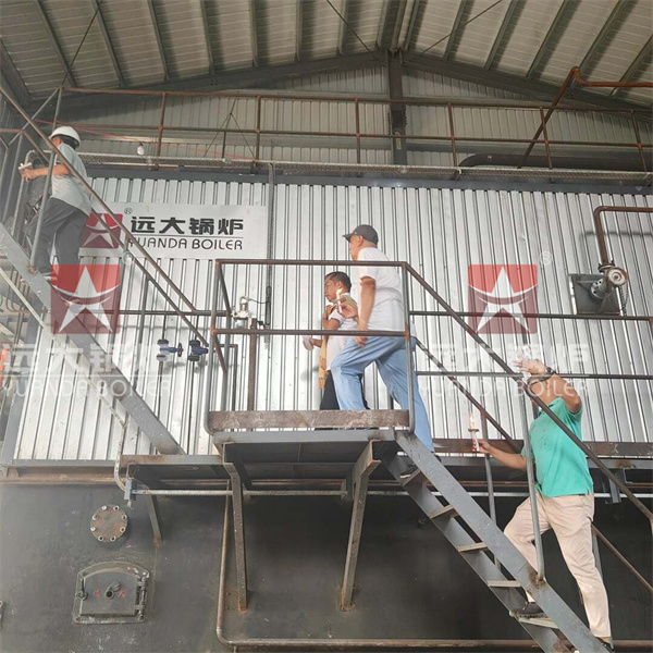 Philippines Project Water Tube Coal Fired Steam Boiler 15000 kg hour