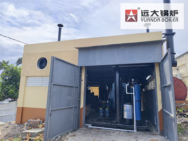 Caldera Vapor de Diesel 1000kg 60hp Para Fabrica de Palets