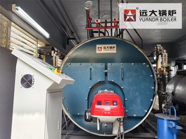 Caldera Vapor de Diesel 1000kg 60hp Para Fabrica de Palets