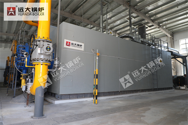 Industrial Water Tube Steam Boiler 20ton 25ton 30ton 40ton 50ton 60ton 75ton 80ton