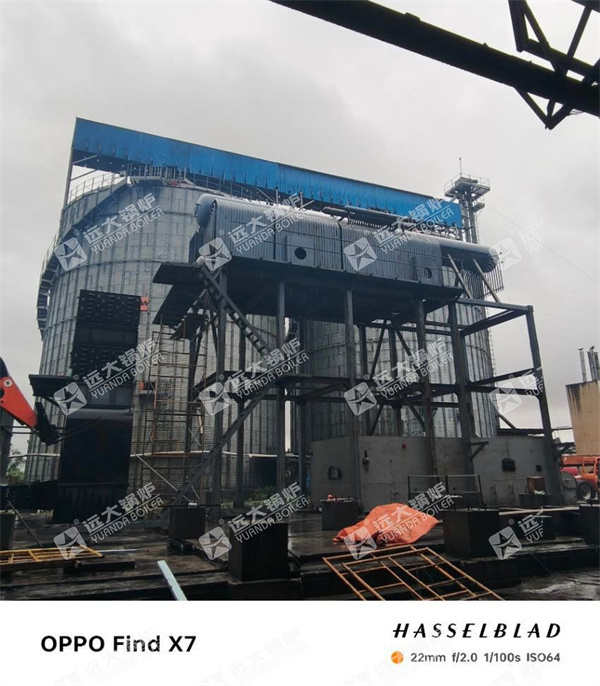 25 TPH Biomass Steam Boiler For Rice Mill Production Heat and Power