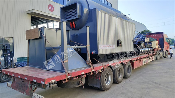 4Ton Biomass Steam Boiler For Food Factory In Papua New Guinea