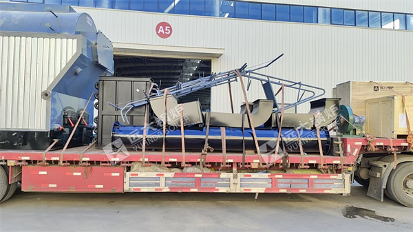 4Ton Biomass Steam Boiler For Food Factory In Papua New Guinea