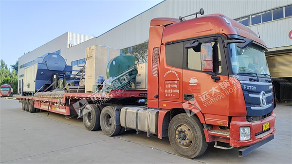 4Ton Biomass Steam Boiler For Food Factory In Papua New Guinea