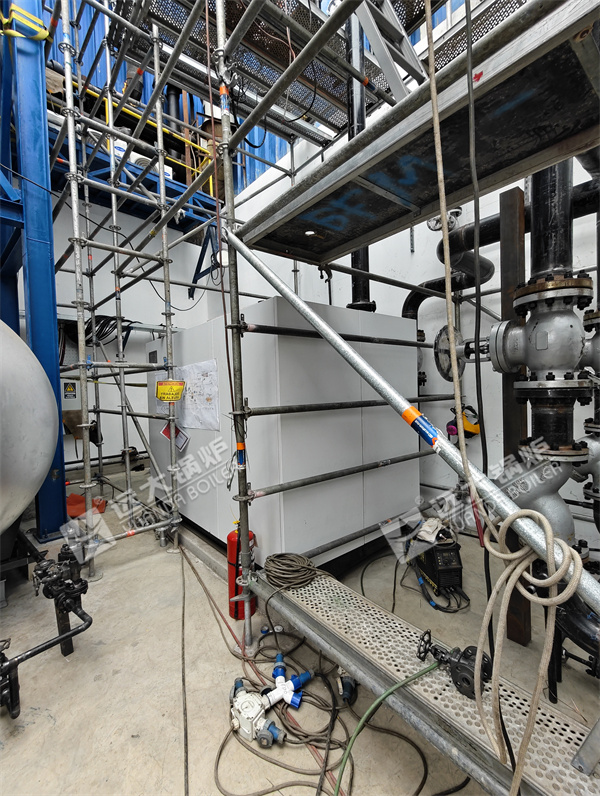 Peru Project Service For Industrial Electric Thermal Oil Heater Boiler